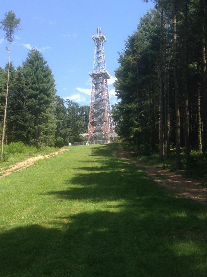 98 Petofi Utca Villa Balatonmagyarod Bagian luar foto